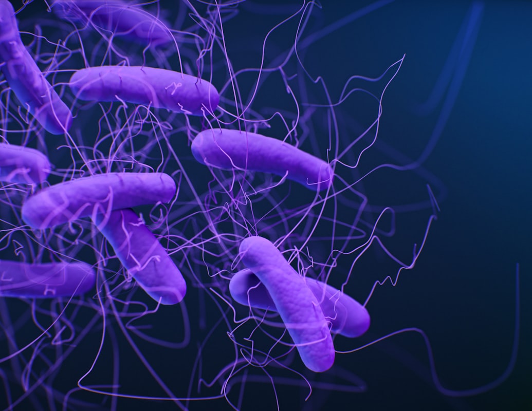 Sleep quality and gut health